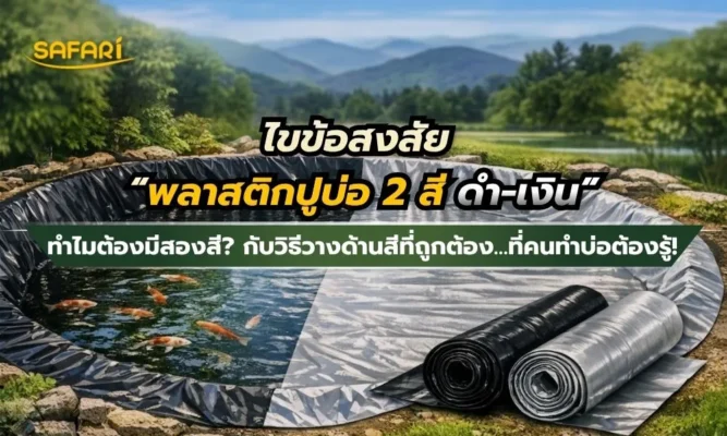 พลาสติกปูบ่อสีดำ-เงิน