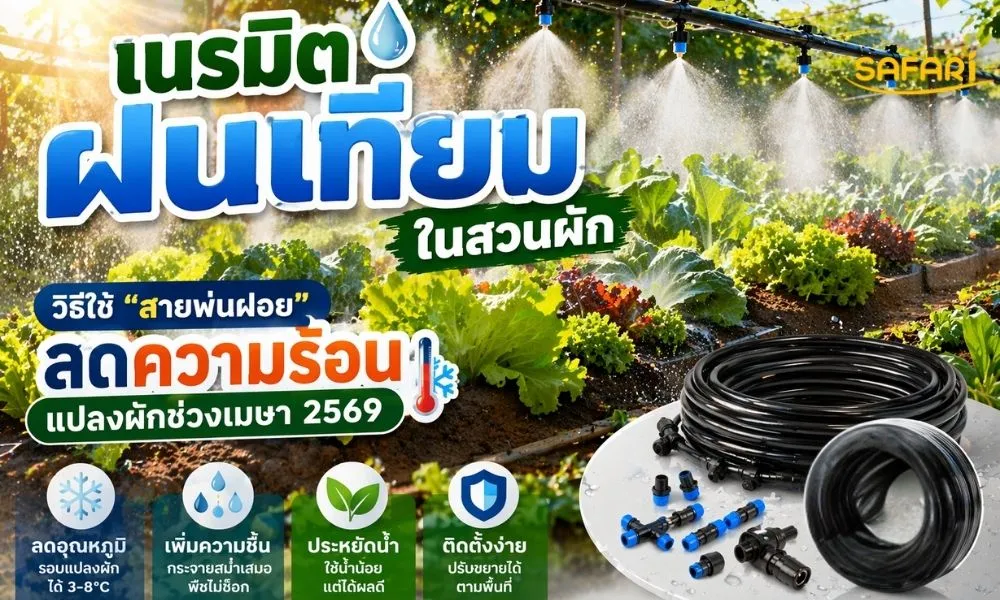 สายส่งน้ำพ่นฝอย-หน้าปก