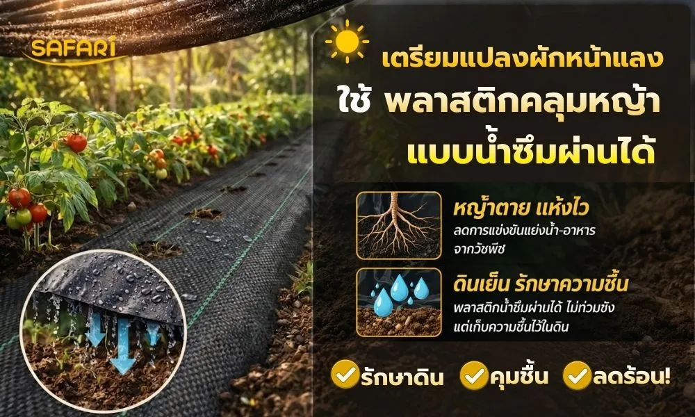 เตรียมแปรงผัก - หน้าปก (3)
